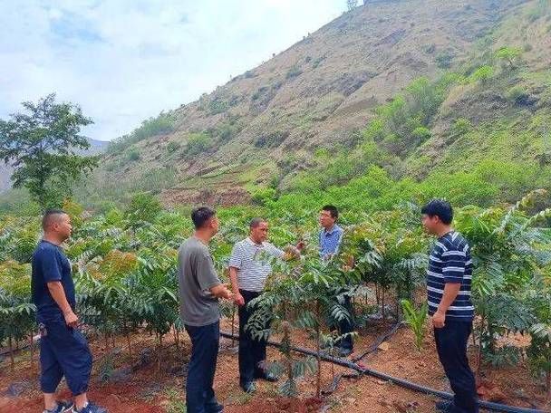 鲁甸县累计报告本土确诊24例_鲁甸县情