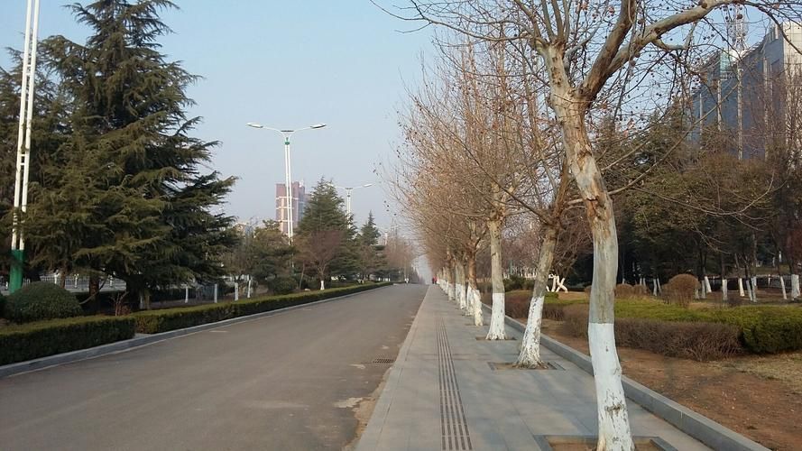 【山东省泰安市新泰市足不出户标准最新公布_山东省 泰安市 新泰市】