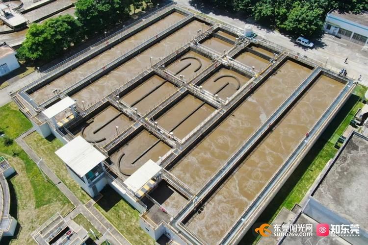 谢岗镇12月5日新增感染趋势反弹:谢岗镇疫情防控