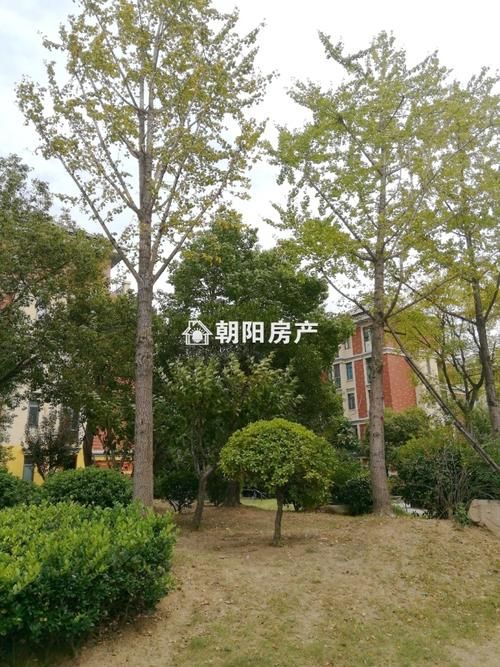 安徽淮南什么时候可以足不出户/安徽淮南什么时候封城