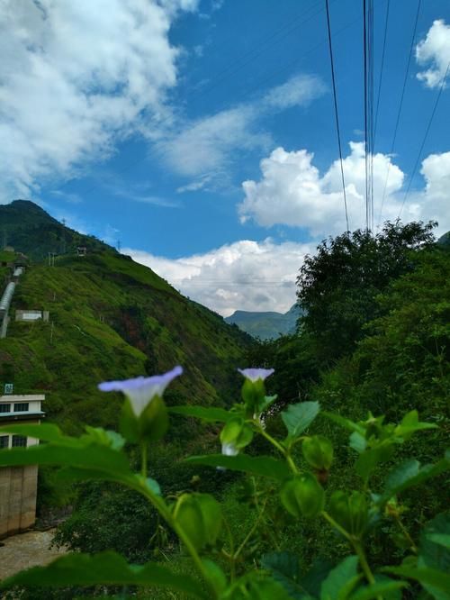 云南省丽江市永胜县最新疫情趋势：寻找同轨迹人员/丽江永胜疫情最新情况