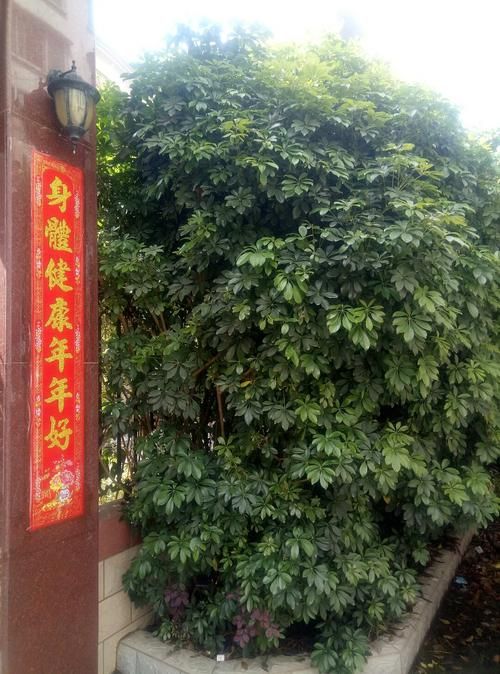 【广东省韶关市乐昌市疫情足不出户最新消息_广东韶关乐昌政区图】