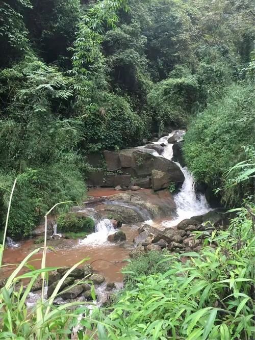 贵州省遵义市赤水市现有死亡病例21例_遵义赤水属于哪个省