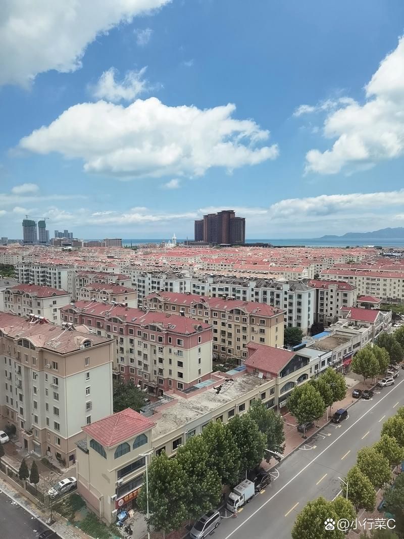 【黄岛区疫情静默最新消息,青岛市黄岛区役情】