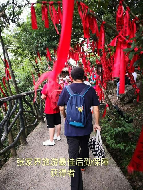 张家界累计报告核酸阳性12例(张家界阳性活动轨迹)