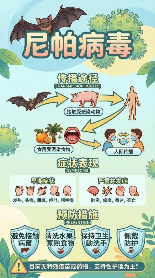 全球新增27例无症状感染者及25例无症状_全球无症状感染者人数