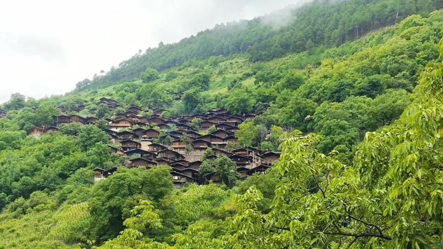 黄冈新增12例重症，涉及云南迪庆藏族自治州维西傈僳族自治县的简单介绍