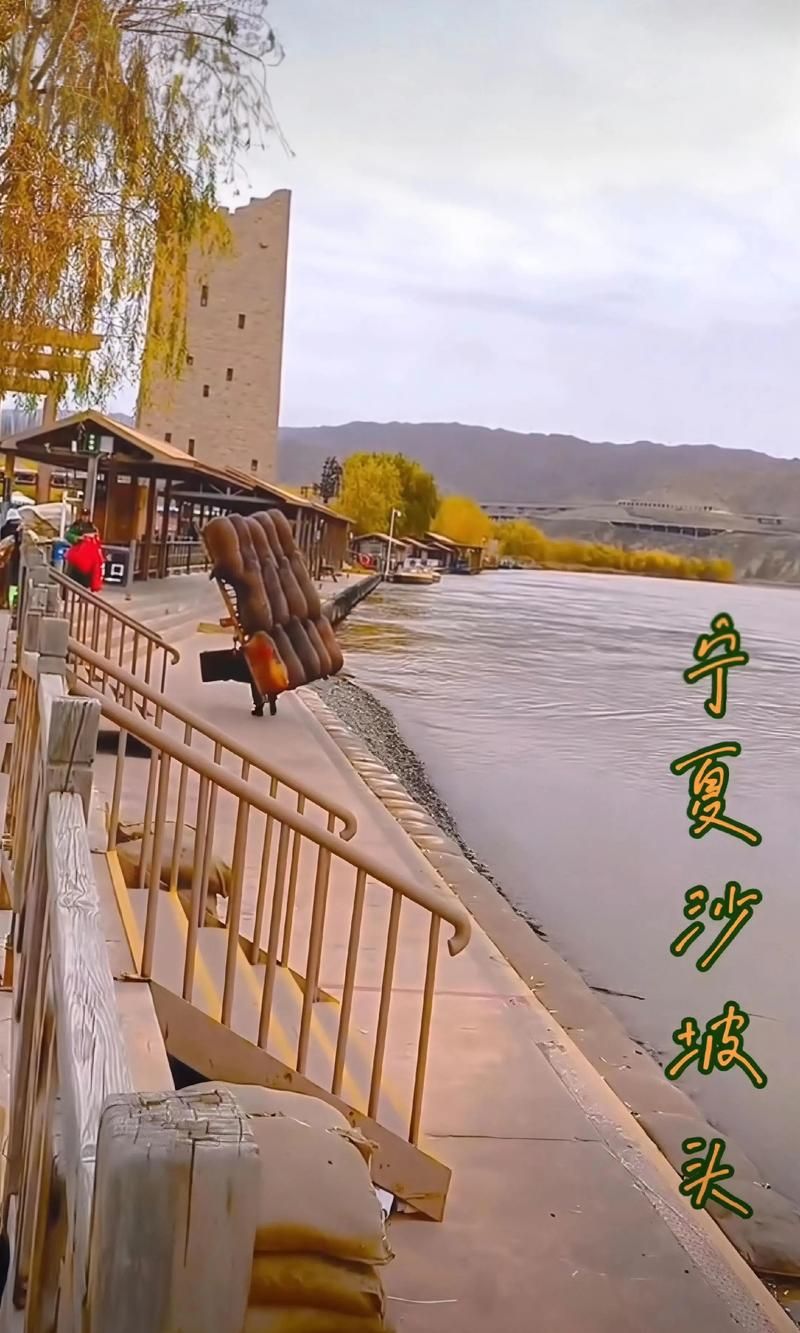 专家:沙坡头区每年或现多个感染高峰:沙坡头现在去好玩吗天气热不热