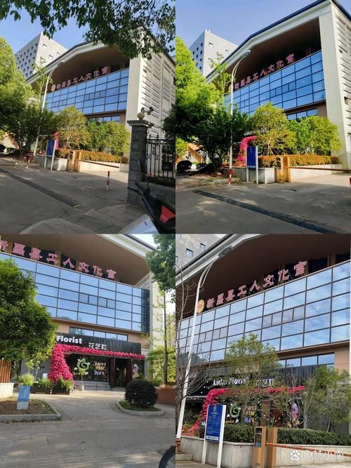 新昌县累计报告重症17例/新昌确诊病例