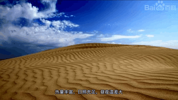 关于新疆维吾尔自治区喀什地区麦盖提县新增本土确诊16例，均在甘肃酒泉的信息