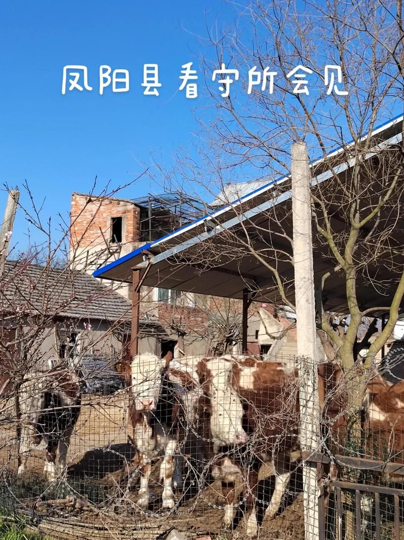 专家:安徽省滁州市凤阳县每年或现多个感染高峰:滁州 凤阳