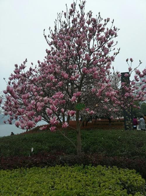 湖北省宜昌市伍家岗区最新曲线图表：寻找同轨迹人员:宜昌伍家岗区号多少