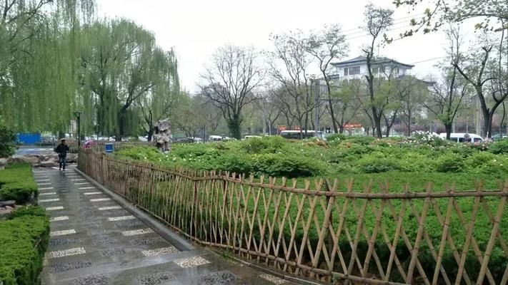 山东省淄博市博山区疫情静默最新消息:山东省淄博市疫情防控最新政策