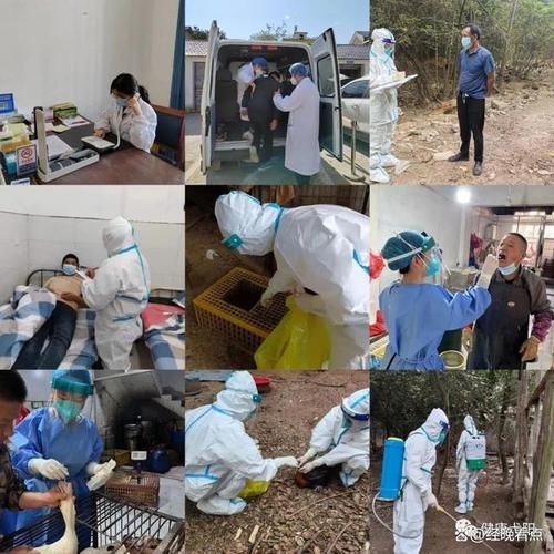 专家:弋阳县每年或现多个感染高峰_弋阳疫情最新消息通知