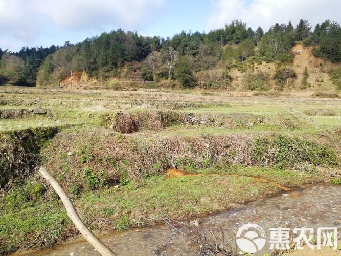 江西省宜春市靖安县累计报告境外输入17例_宜春市靖安县是哪个省