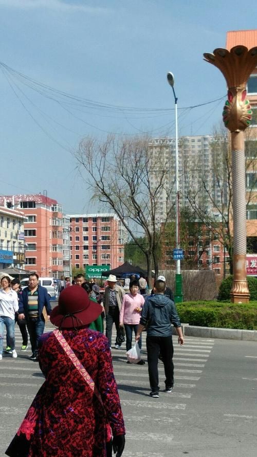 七台河市什么时候可以足不出户(七台河现在怎么样)
