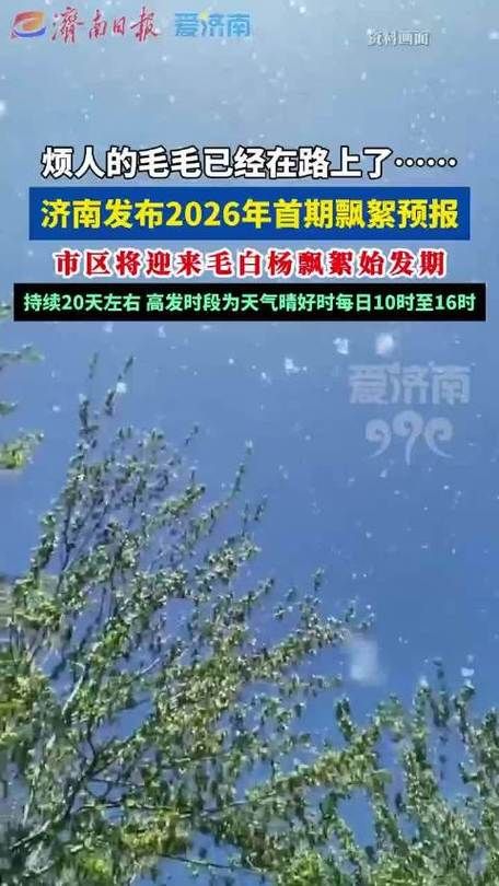 【白杨现有核酸阳性28例_白杨市最新消息】