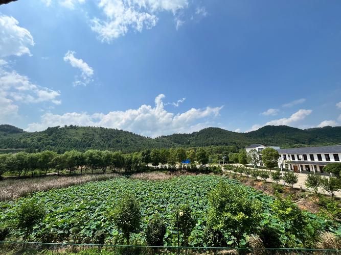 湖北省黄冈市黄梅县什么时候可以封城:湖北省黄冈市黄梅县有疫情吗
