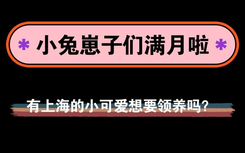 糖心困困兔的vlog视频官方最新：工具神器{运营自助}全揭秘糖心困困兔的vlog视频V.65.93.42.98