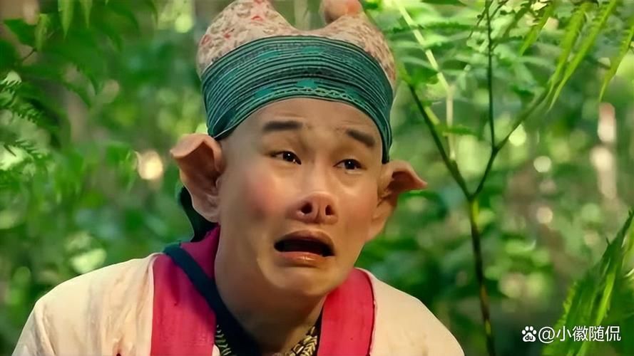 八戒影视:教程小助手!八戒影视