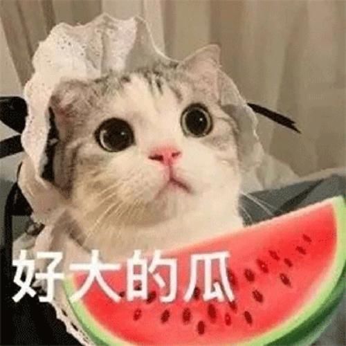 每日大赛爆料吃瓜在线观看 - 每日大赛爆料吃瓜在线观看小助手必备教程V.85.11.93.19