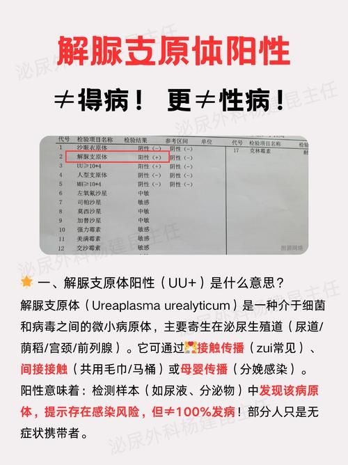 7地新增17例阳性感染者及26例无症状/7地新增17例阳性感染者及26例无症状感染者