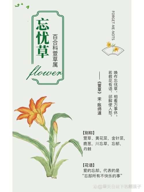 忘忧草视频/忘忧草视频详细24自助教程V.78.37.42.14