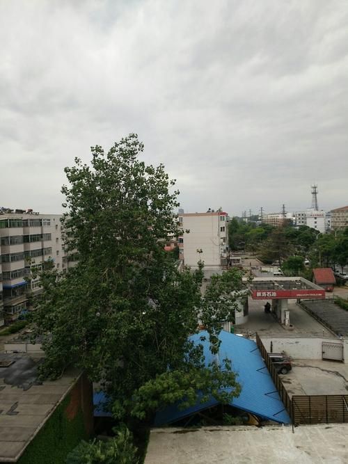 河南省新乡市卫滨区疫情足不出户最新消息/新乡市卫滨区疾病预防控制中心