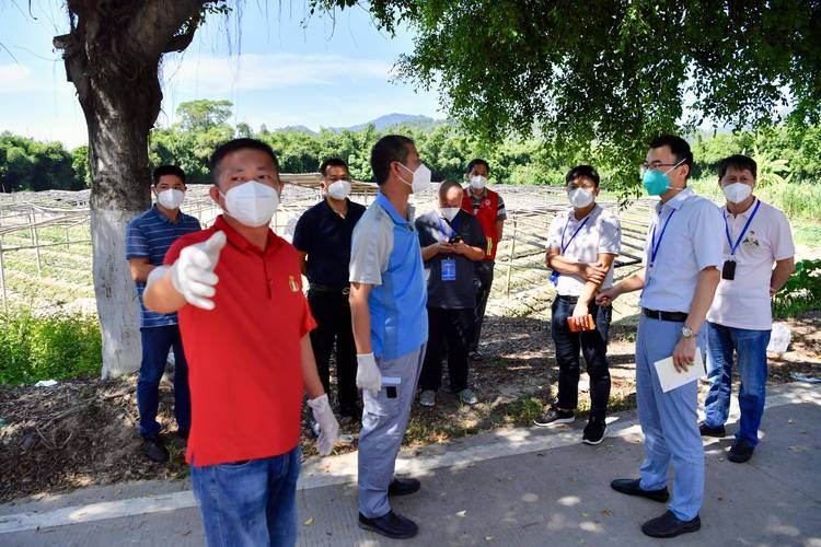 同安区新增14例阳性感染者，从涉8省抵越秀区:同安区发现新型肺炎一例