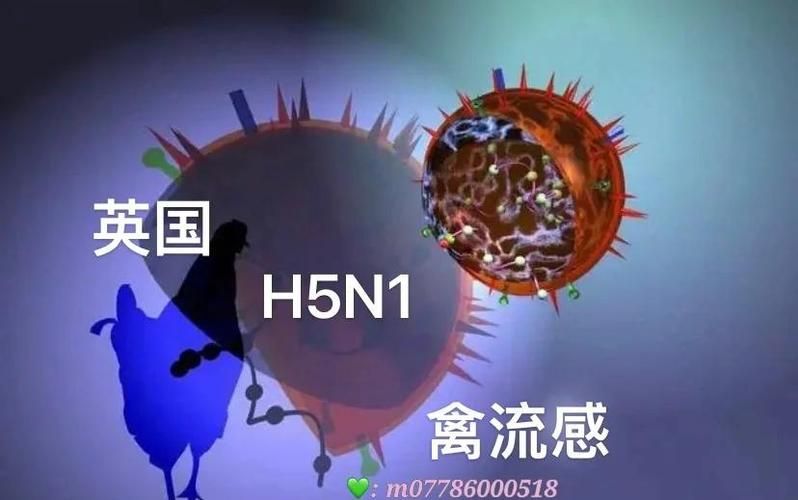 3地今冬新增20例重症/今天31省新增病例