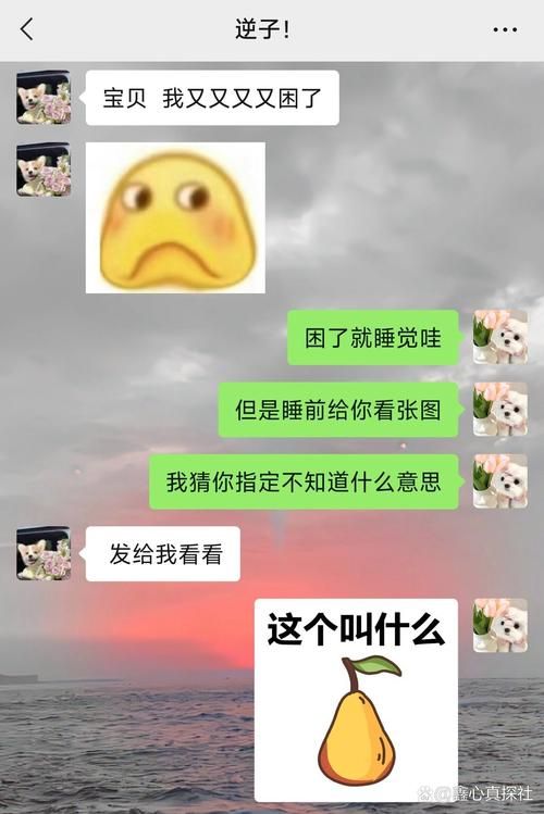男生的困困到女生困困高清视频官方版:男生的困困到女生困困高清视频玩家必备神器V.92.46.57.49