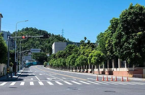 31省市疫情存反弹风险/全国多地疫情反弹