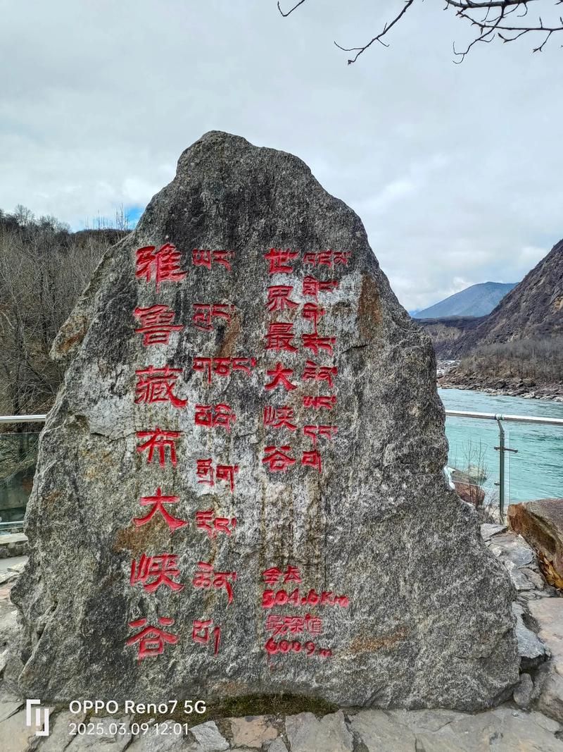 林芝市重症已反弹12地_林芝414