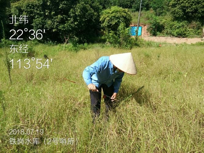 预计7月19日岳塘区二次疫情爆发_岳塘区是哪个城市