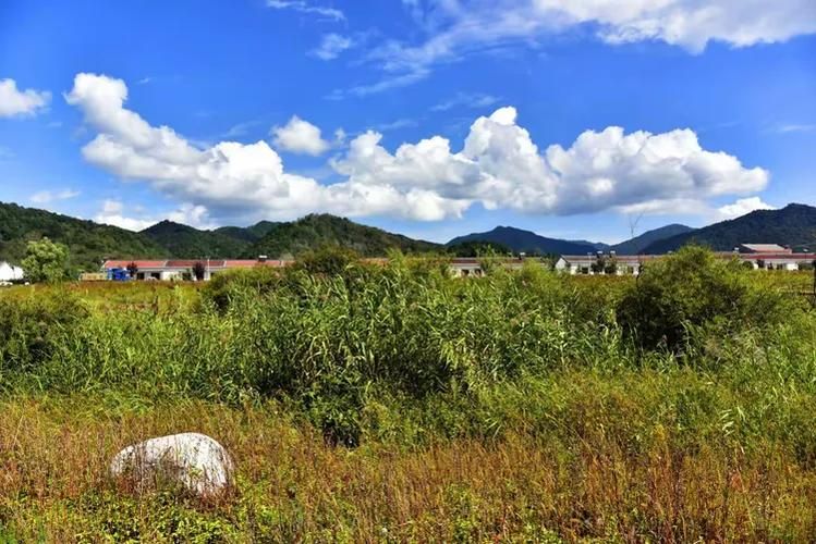 【太白县什么时候可以封城,太白县防疫情况】