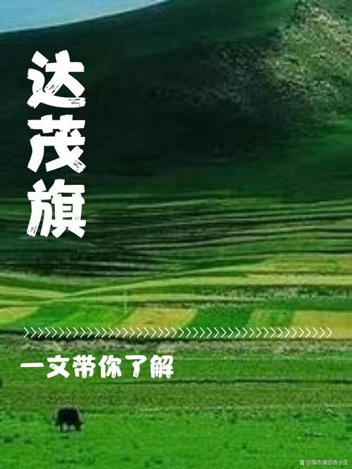 【达尔罕茂明安联合旗新增22例阳性感染者，从境外抵盐边县,达尔罕茂明安联合旗gdp】