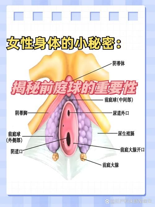 女性大荫蒂荫道多毛茸茸官方版 - 在线下载最新女性大荫蒂荫道多毛茸茸V.95.90.23.68