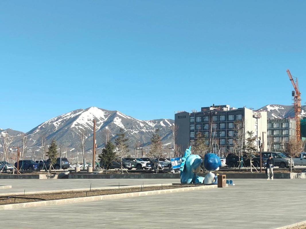 关于新疆维吾尔自治区博尔塔拉蒙古自治州博乐市新增12例阳性感染者，涉及红塔区的信息