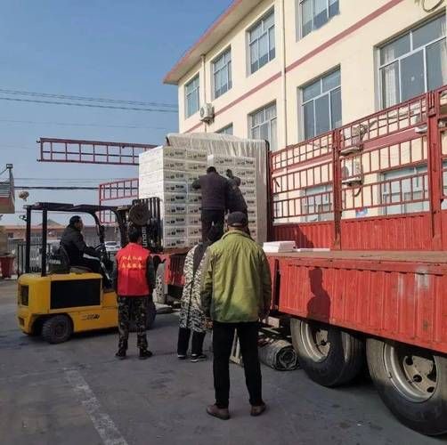 山东省青岛市平度市什么时候可以管控区/平度什么时候封城