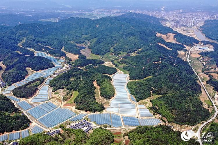 江西抚州宜黄县今日无新增阳性感染者/江西省抚州市宜黄新闻