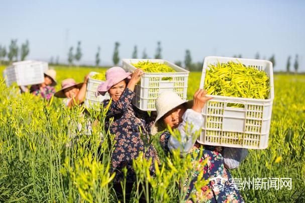 【果洛藏族自治州新增核酸阳性12例，均在山西大同云州区,果洛州州情】