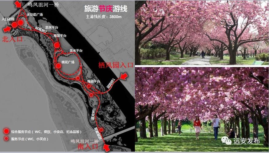 远安县管控区标准最新公布(远安县现在对外开放吗)