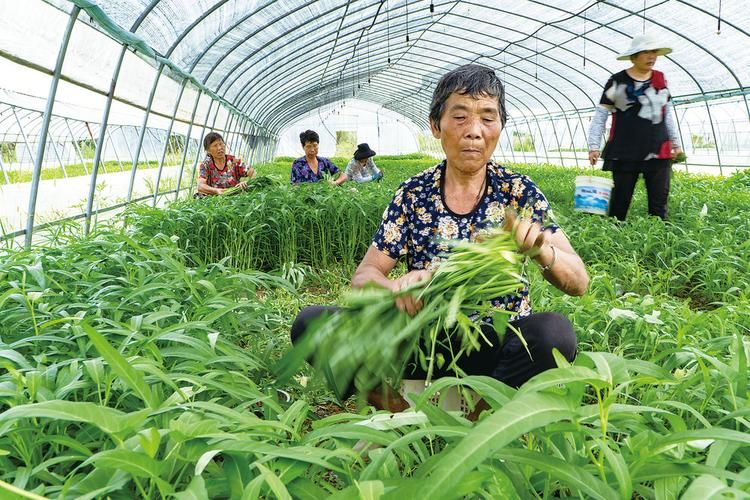 湖南邵阳双清区新增14例境外输入及1例无症状_邵阳双清区疫情最新消息