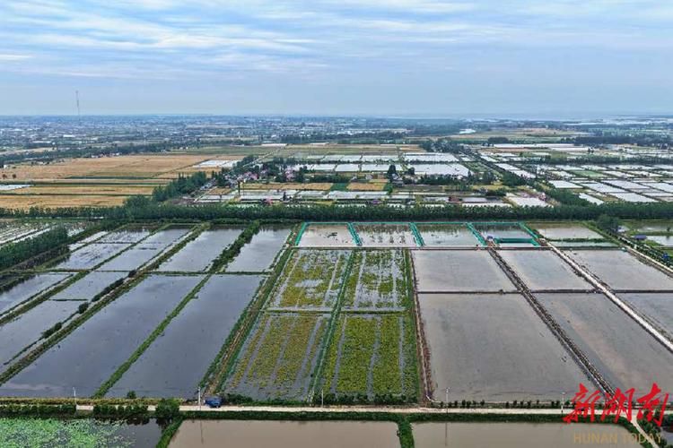 益阳市大通湖管理区新增境外输入4例，均在山西吕梁石楼县_益阳大通湖旅游攻略