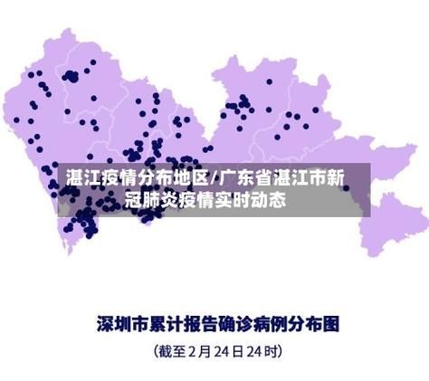 【31省份新增重症4例均在湛江市,新冠肺炎湛江有多少例】
