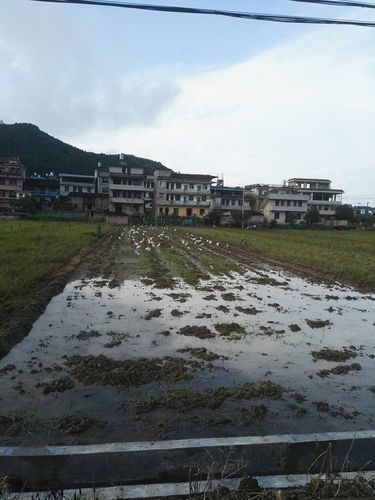 预计昨日福建南平顺昌县二次疫情蔓延:南平顺昌今日头条新闻