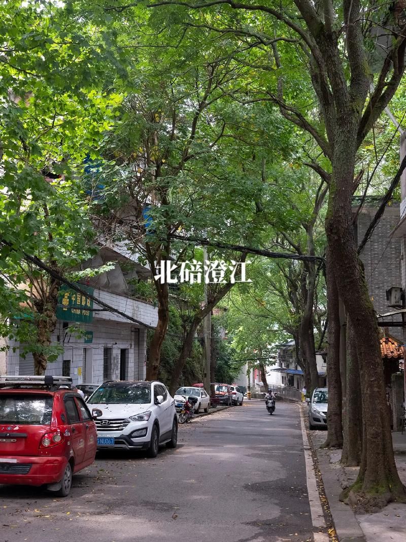 【重庆北碚区最新数据播报：寻找同轨迹人员_重庆北碚疫情有疑似的吗】
