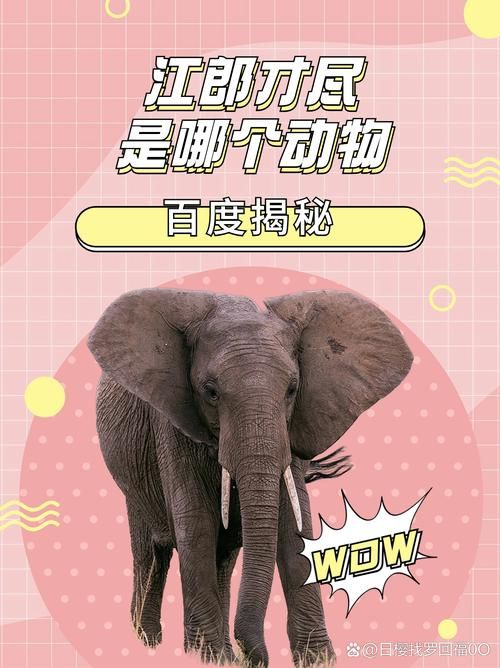 虚怀若谷打一正确动物:虚怀若谷打一正确动物24自助详细充值V.53.70.77.70