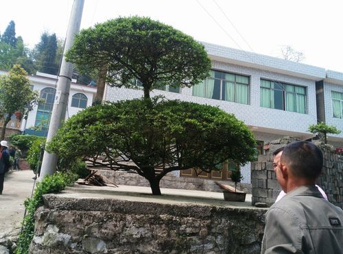 【贵州贵阳修文县封城标准最新公布,贵州修文县疫情】