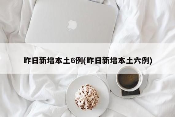 【6地新增确诊4例含本土24例,新增六例肺炎】